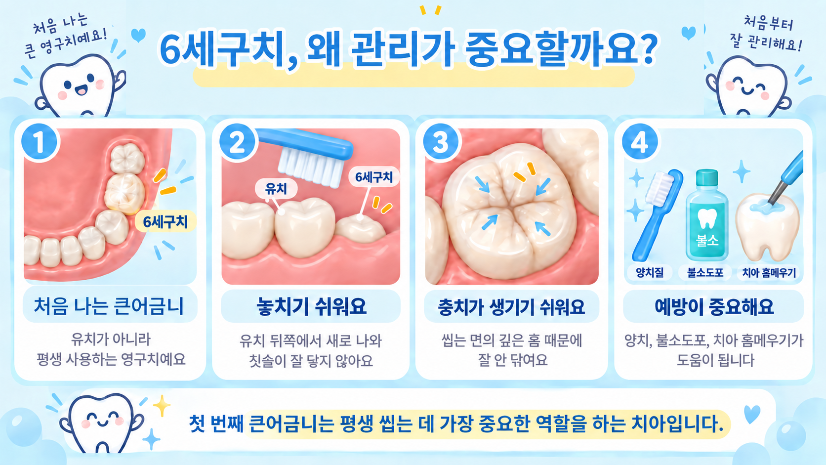 6세구치가 중요한 이유와 관리 방법 설명 이미지